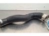 Manguera/tubo del intercooler 9820115580