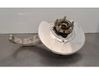 Front wheel hub spindle knuckle 118831100F