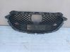 Front grill DHM150719
