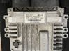 Engine control unit/module 391302A271