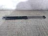 Tailgate/trunk strut/damper 39089133