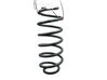 Muelle espiral trasero 5102N6