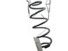 Rear coil spring 4131168L00