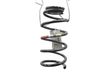 Rear coil spring 50546746