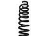 Rear coil spring 33536767345