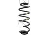 Rear coil spring 5102V7