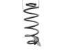 Rear coil spring 4131151KB0