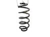 Rear coil spring 550205778R