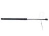 Tailgate/trunk strut/damper 1666068