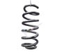 Rear coil spring 550202996R