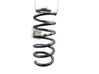 Rear coil spring 550202996R