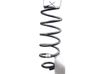 Rear coil spring 2186885