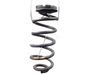 Rear coil spring 550209773R