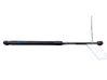 Tailgate/trunk strut/damper 1K8827550A