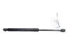 Tailgate/trunk strut/damper 904520004R