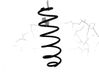 Rear coil spring 5102AP