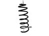 Rear coil spring 5102Z7