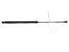 Tailgate/trunk strut/damper 1747492