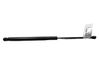 Tailgate/trunk strut/damper 1434296