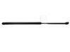 Tailgate/trunk strut/damper 13258179