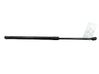 Tailgate/trunk strut/damper 13258179