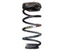Rear coil spring 50546746