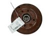 Drum brake (rear) 1680868