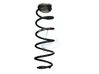 Muelle espiral trasero 9828919880