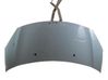Motorhaube 7901R1