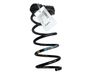 Rear coil spring 1916927