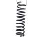 Muelle espiral trasero 1682597