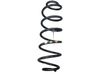 Rear coil spring 9804028180