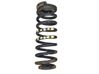 Rear coil spring 4193611