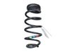Muelle espiral trasero 550203802R