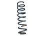 Muelle espiral trasero 8200276539