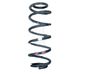Rear coil spring 4131162J00