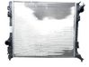 Coolant radiator 214107399R