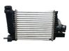 Radiador intercooler 144961381R