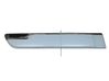 Rear door trim (molding) 828201664R