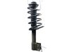 Front shock absorber/damper 5202ZS