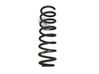 Muelle espiral trasero 8200249829