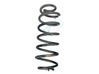 Muelle espiral trasero 1682560