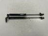 Tailgate/trunk strut/damper 