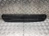 Front bumper lower grill 