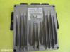 Engine control unit/module 391024X520