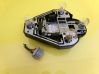 Tail light bulb cover holder 236364