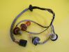 Tail light bulb cover holder 35843