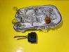 Tail light bulb cover holder 436072R