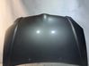 Motorhaube 