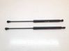 Tailgate/trunk strut/damper 